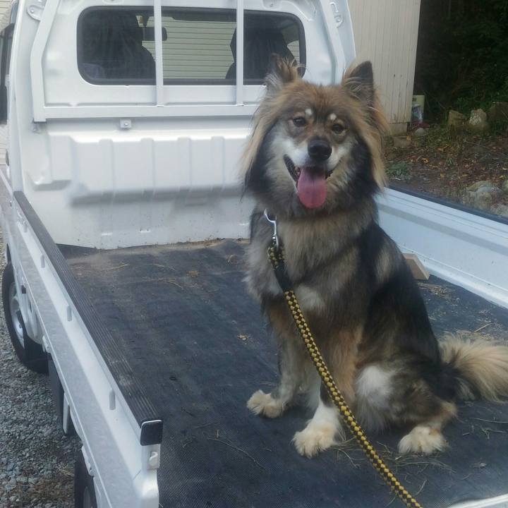 394dad34 7750 4103 9900 cae9fdd60170 1567612669220