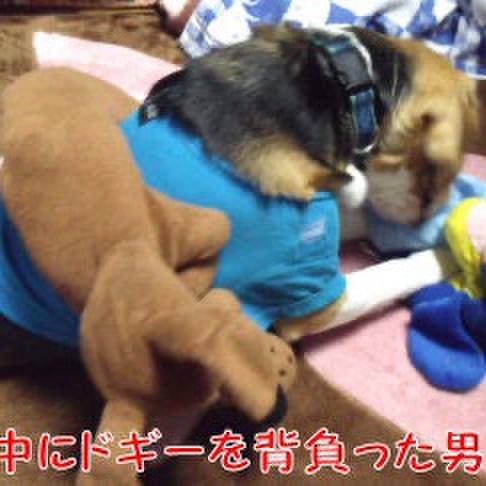 394db898 e7ba 42c6 81db e650ac337352 1706484028248