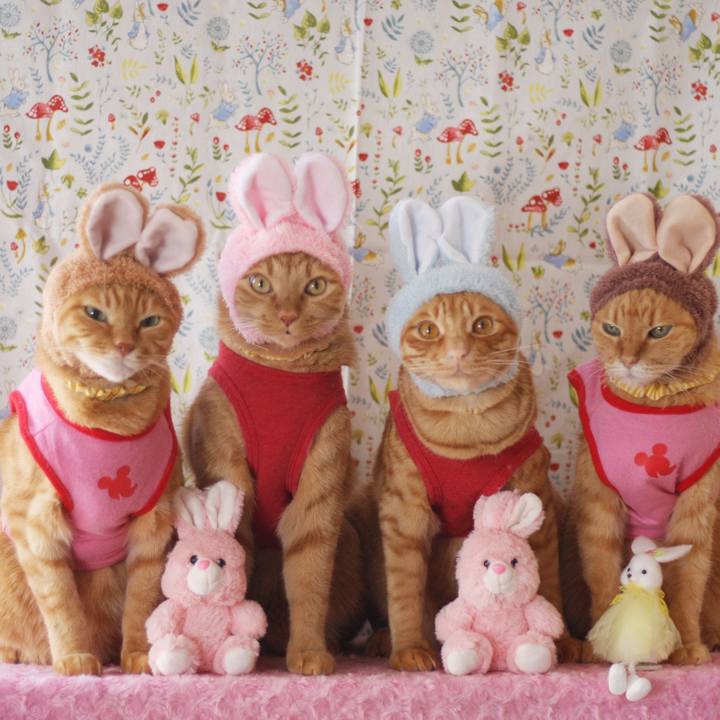 394dc14d 6d7e 4c07 b9e4 cf12bf164b4d 1712822515929