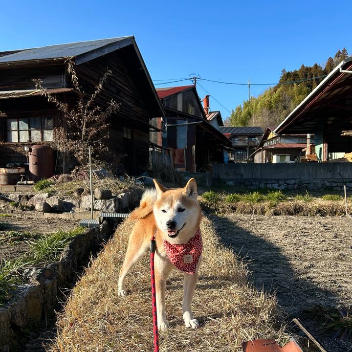 394dc3b2 b5b5 4cfd 8dd3 1238c4982d4d 1710068857096