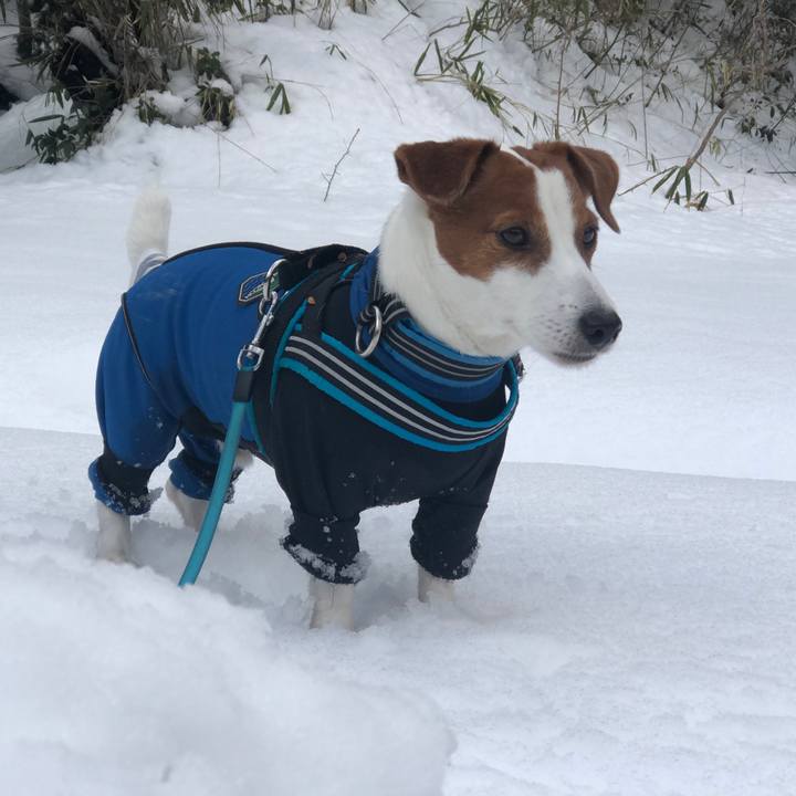 394deea4 022d 4654 8a59 9f86b84e929d 1645770799939