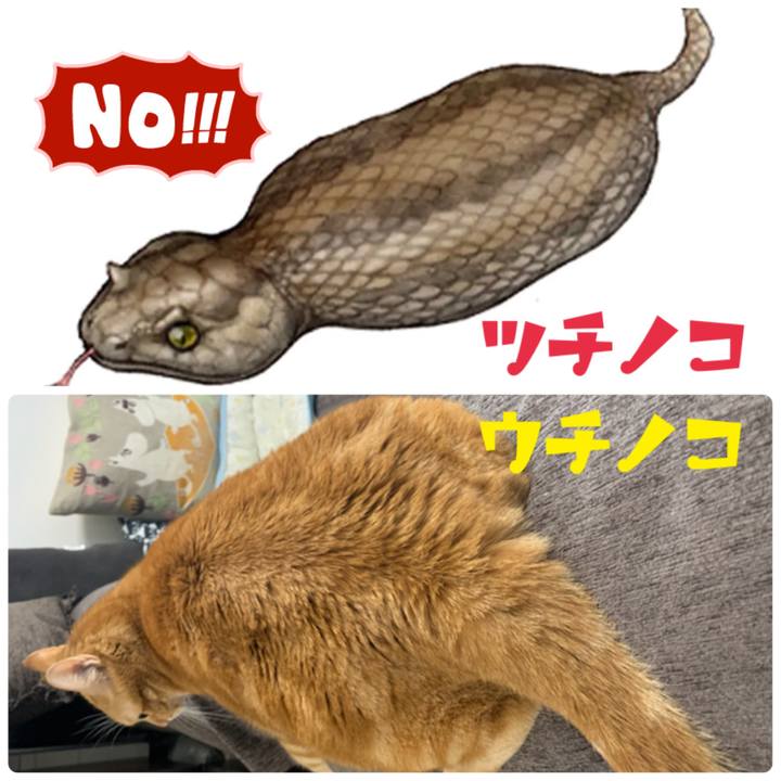 394e1f99 a200 4be7 af2b 9a49a86494dd 1634472271114