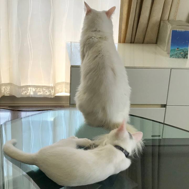 394e48d7 373c 449a 84f8 d69d780fc031 1568848129268