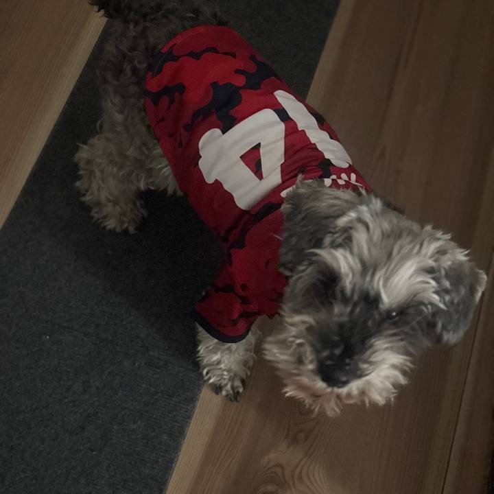 394e634e 99c8 49f3 bcd4 0bbab1aa8f4e 1770546099185