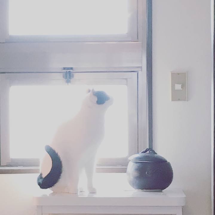 394e80ee 779d 47b5 b983 c446fbf69ccc 1584411334419