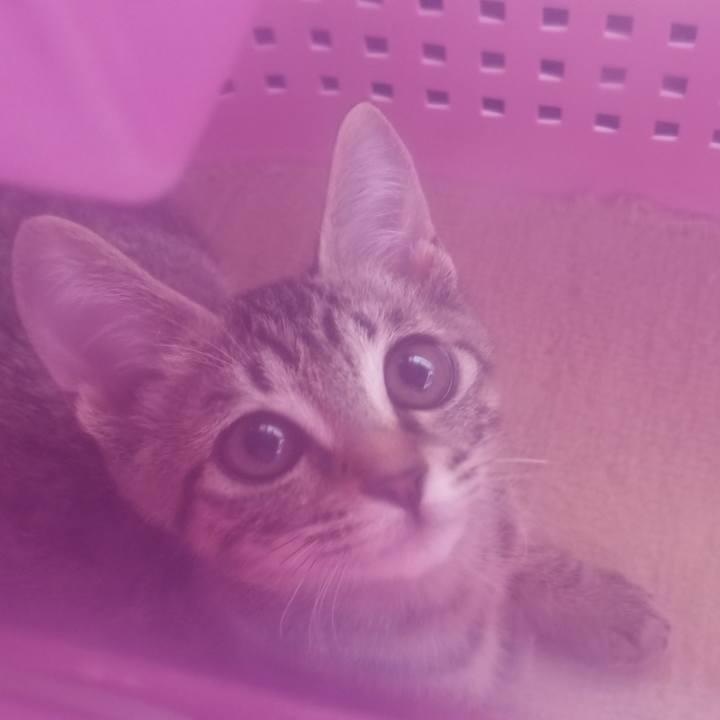 394ea776 a0af 4095 a72f a2fca42afc0b 1536856364804