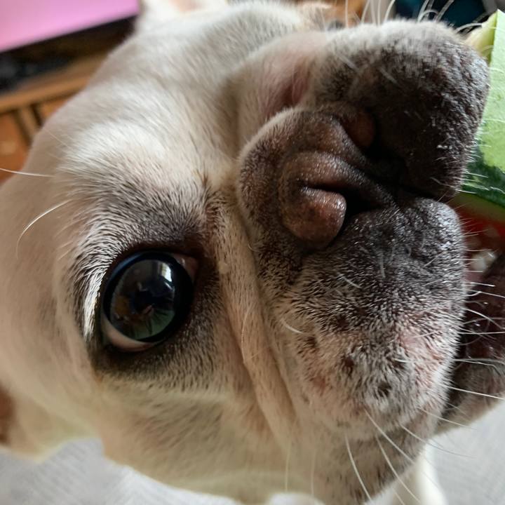 394eafcc 640b 40ad 8cf4 9ccae71569e5 1720479803766