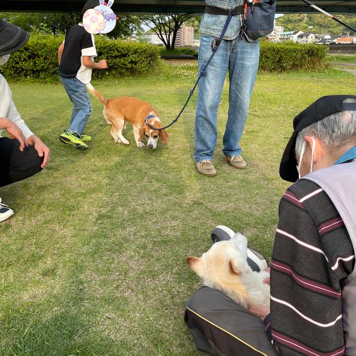 394ee27d 9307 4931 8c5b f06f6123be76 1683893961022