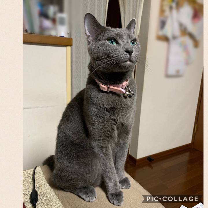 394ef146 d1e1 4cfd 854f f1f12adc1ed1 1566650778345