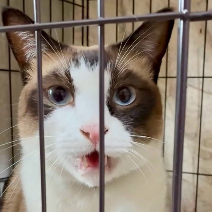 394f3fd4 fe37 4661 9776 a57a80e2eac5 1754622724315