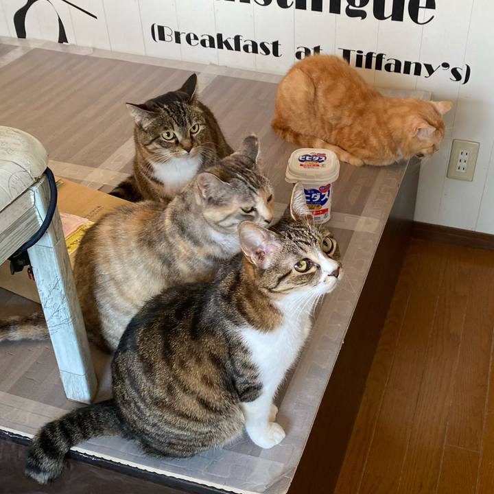 394f60c4 2849 45e4 ad0e 68be38c7b207 1618915736937