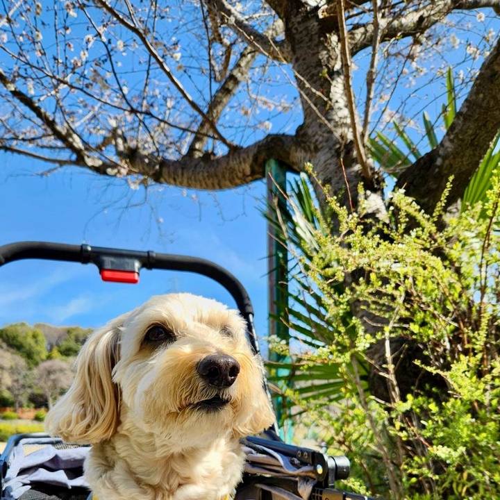 394f73da e696 4f77 ae37 55f9aaed72cb 1773030289346