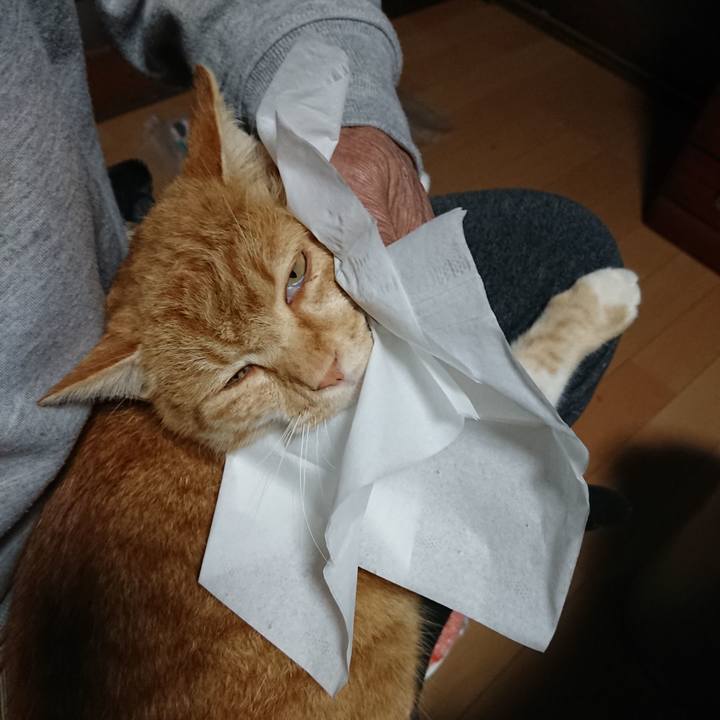 394f7819 5bf9 4f80 ab2f df2ebe64cc34 1607151844264