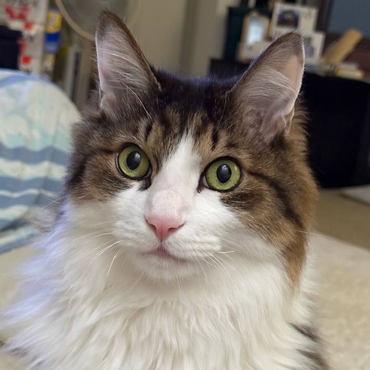 394faab3 115e 406d bc9d 6df96e2597b5 1768952394626