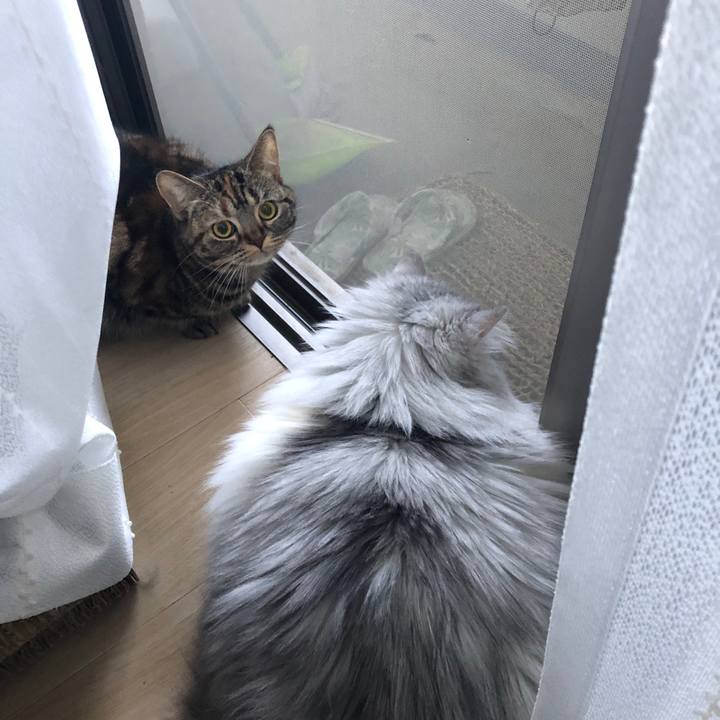 394fc95e 3de0 49a9 9cad 46ad3394328b 1622728912478