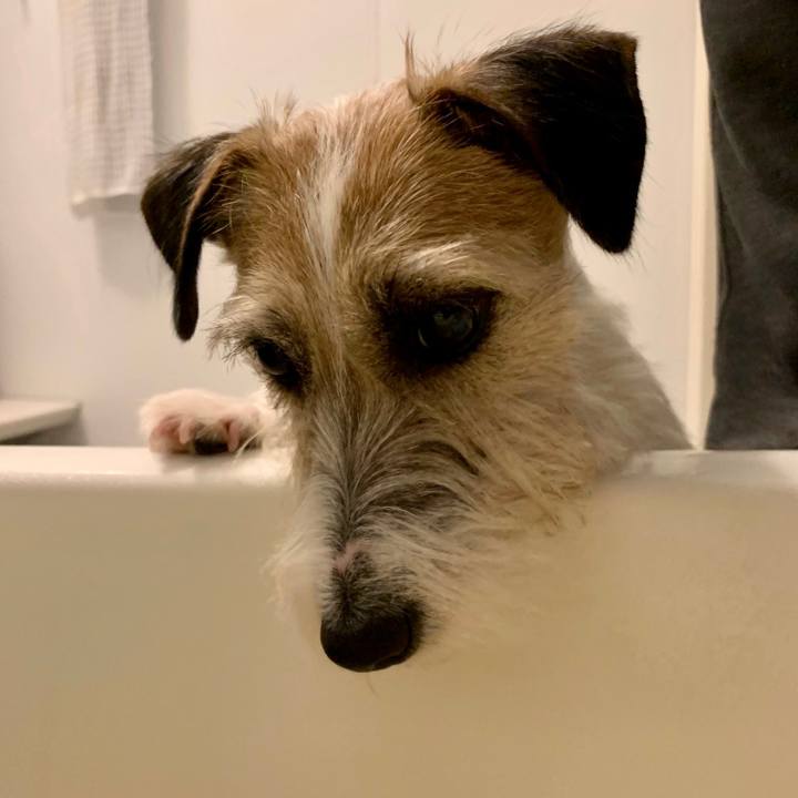 394fd877 0790 4839 84cc 5da2239929bf 1645190052207