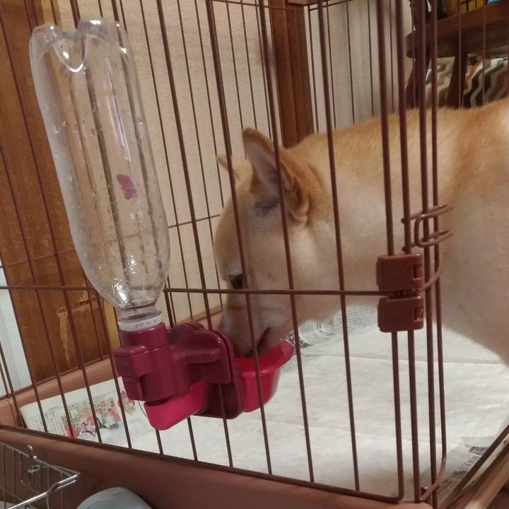 39501e6c 4fc9 4054 b208 2b4f6fd1c4e6 1533470745797