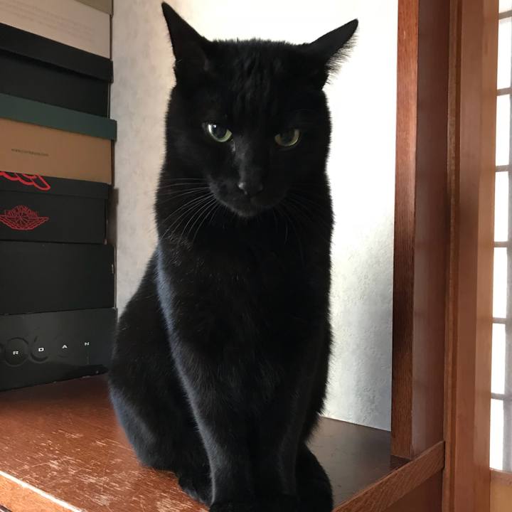 3950510a 42f7 406f 930f f7036556a16e 1515460943770