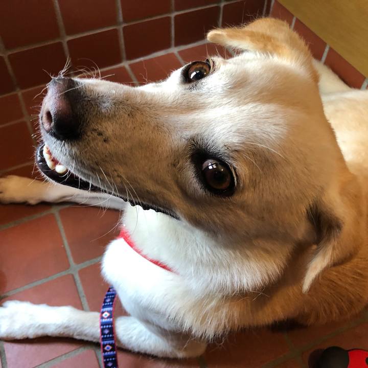 39505152 895e 461f 843a 9b7157d75be7 1623316471597