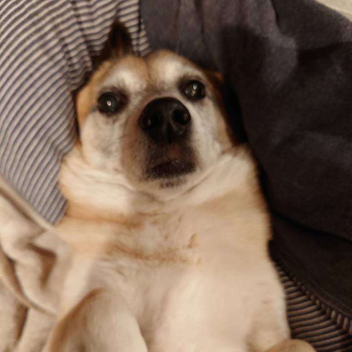 3950a0b2 07f8 406e ba29 2fe7e8fe18eb 1636727297199