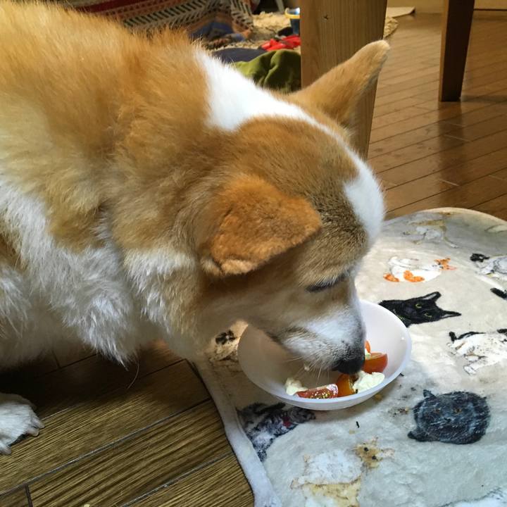 3950a61e dec7 402e 94a9 9cf6b0ea2079 1531825089247