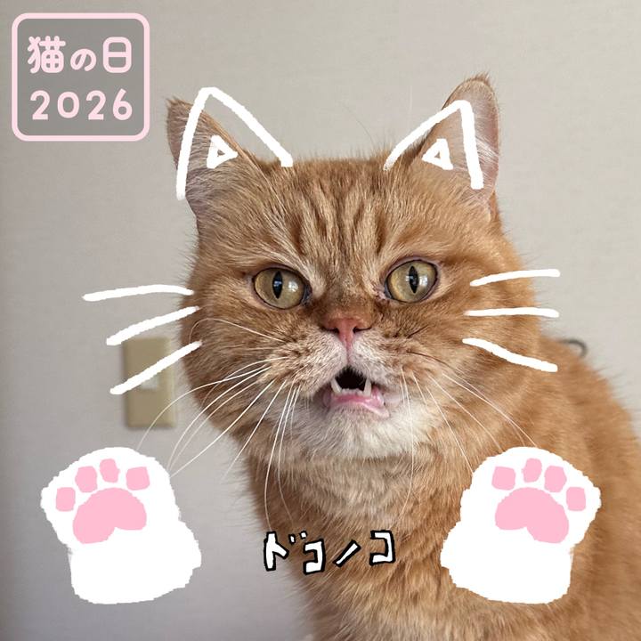 3950a64a c856 4fbf 9321 e13c7375cfce 1771722894924