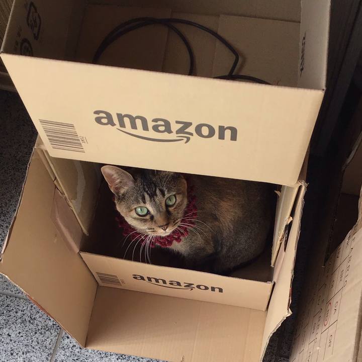 3950abc7 f96a 41dd b2b9 df530ca77a26 1614137852754