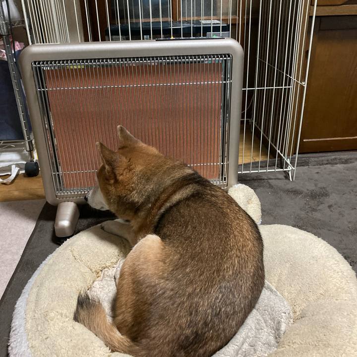 3950ad4c 84b3 46d7 87fd b01ed63a9dd1 1705053654685