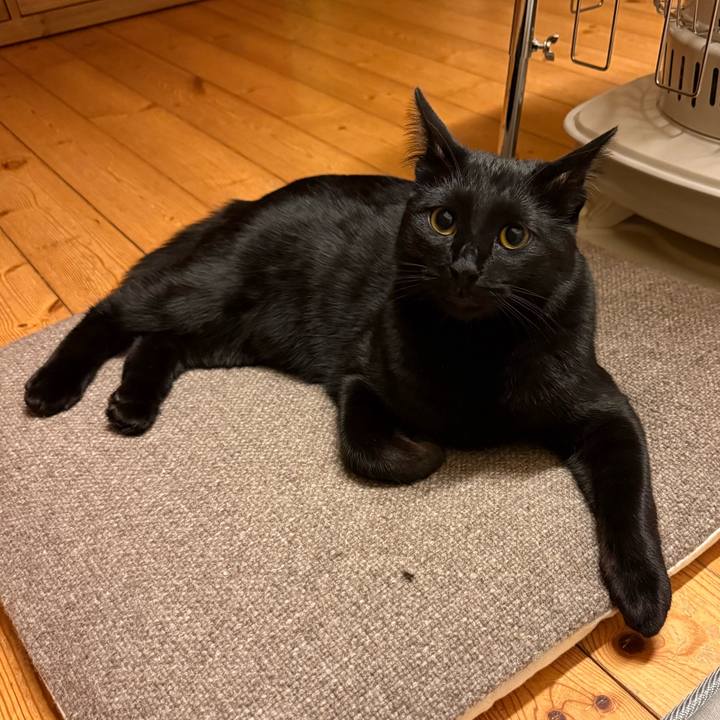 3950b19a 585a 448d bc9e 9892f1fa1360 1775126383025