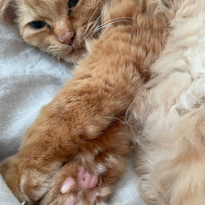 3950b8ee 043d 46e4 9f32 f2a9725349ba 1773002695241