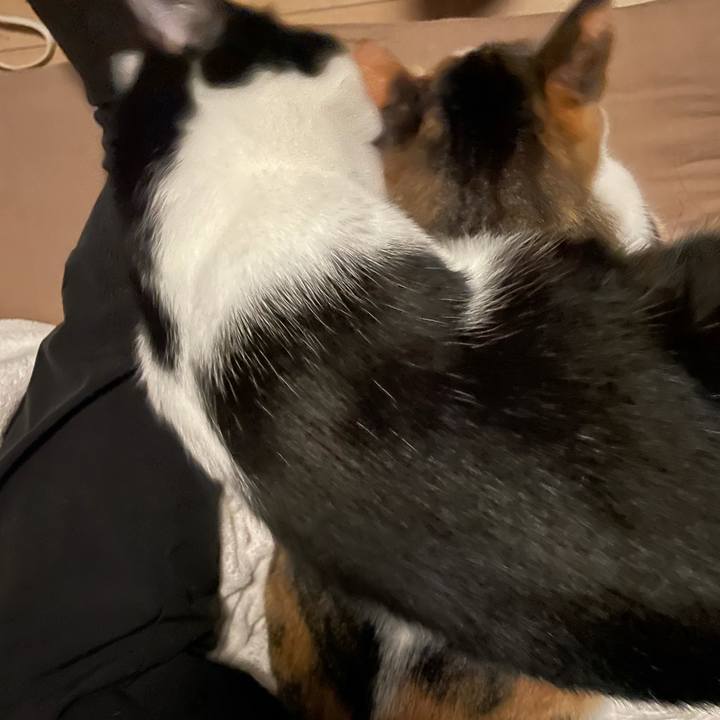 3951031f 675c 4739 b2f3 385e8b1f7c72 1623411451567