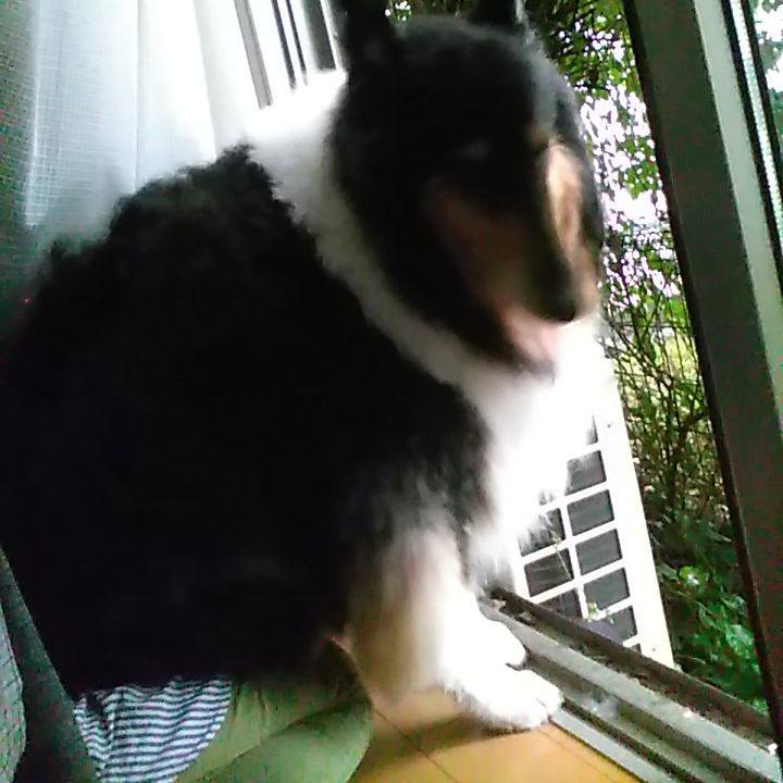 39511806 2402 454f 8904 eda02608cbd5 1529065910567