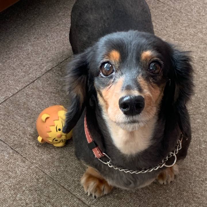 39511a9c c8a0 4022 920d 7f97d1d5f6ed 1575067517249