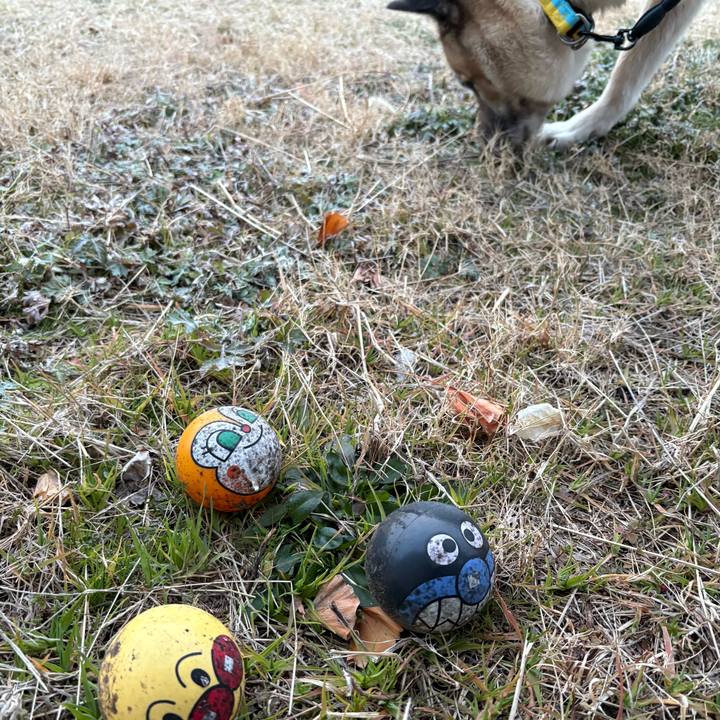 395162e1 b12d 476e ac96 c305fdc12061 1740143112319