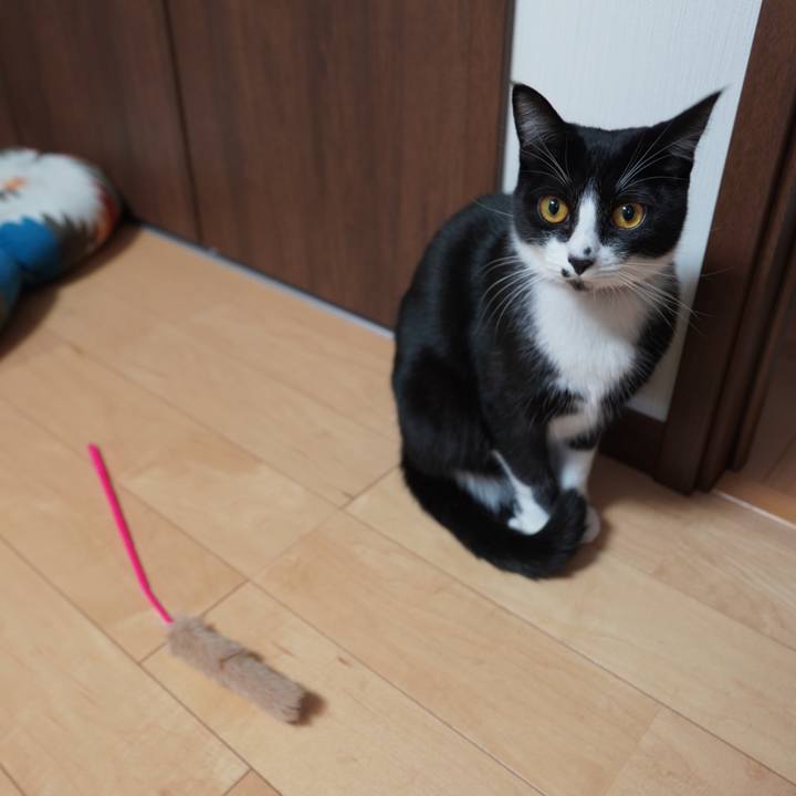 39519a40 38ba 42d6 ad82 260e06b7707b 1609415118890