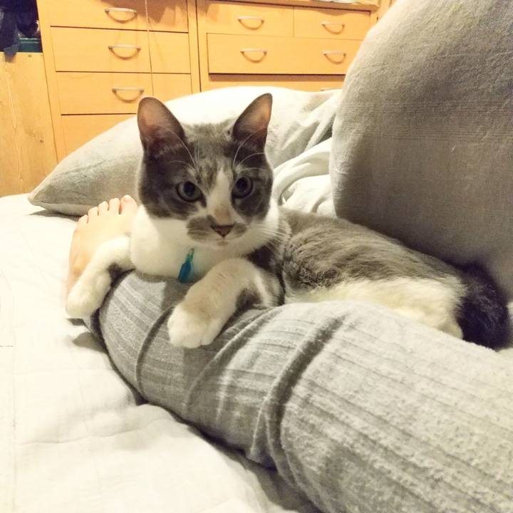 3951a639 41ad 49cf 988d 4aba696eec07 1636802137839