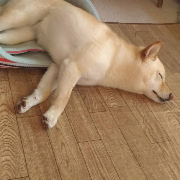 3951acf8 7859 42fa 9ecb c5493562261d 1559817977506