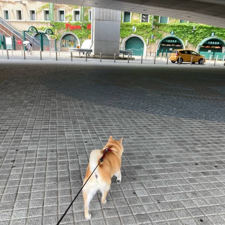 3951c049 6856 4c92 b5a3 0aaaea39df4d 1625044424901