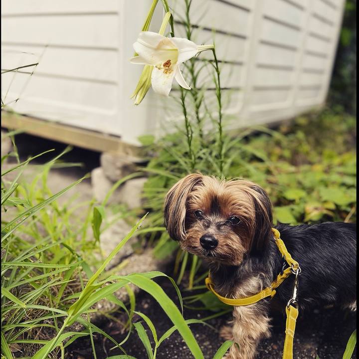 3951d24d 3449 473d ac82 cd36c72316fb 1659660601167