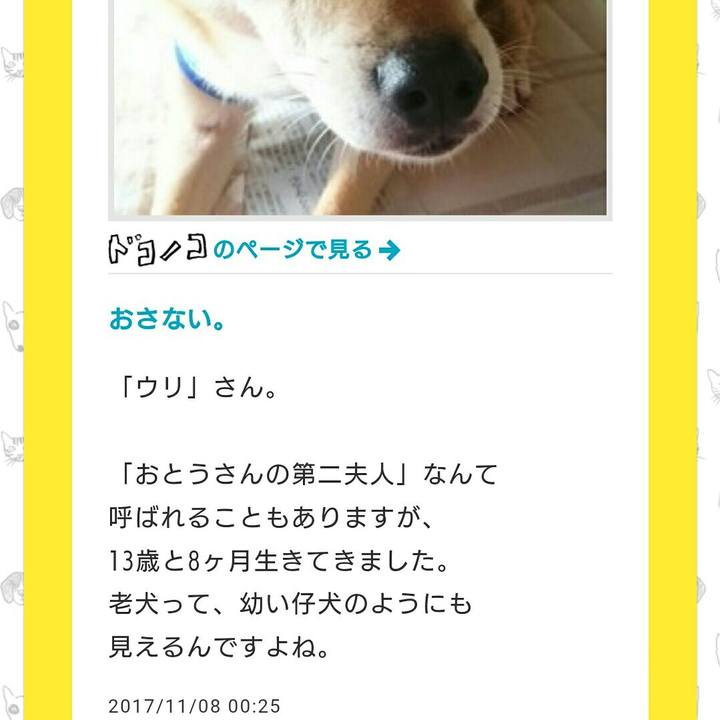 3951f0f1 7442 480f 9b0d ec839e852915 1510098770680