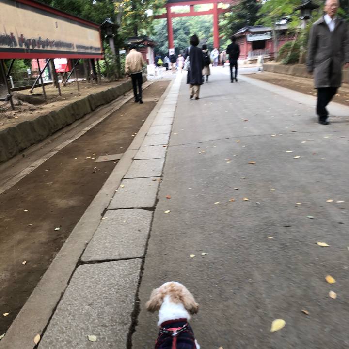 39520923 87b3 428d bab7 cab578901f30 1604886000904