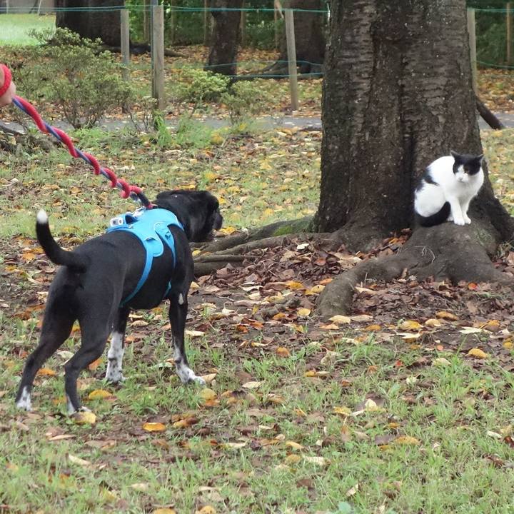 39521d37 e717 4411 8c27 aad017587967 1632011622127