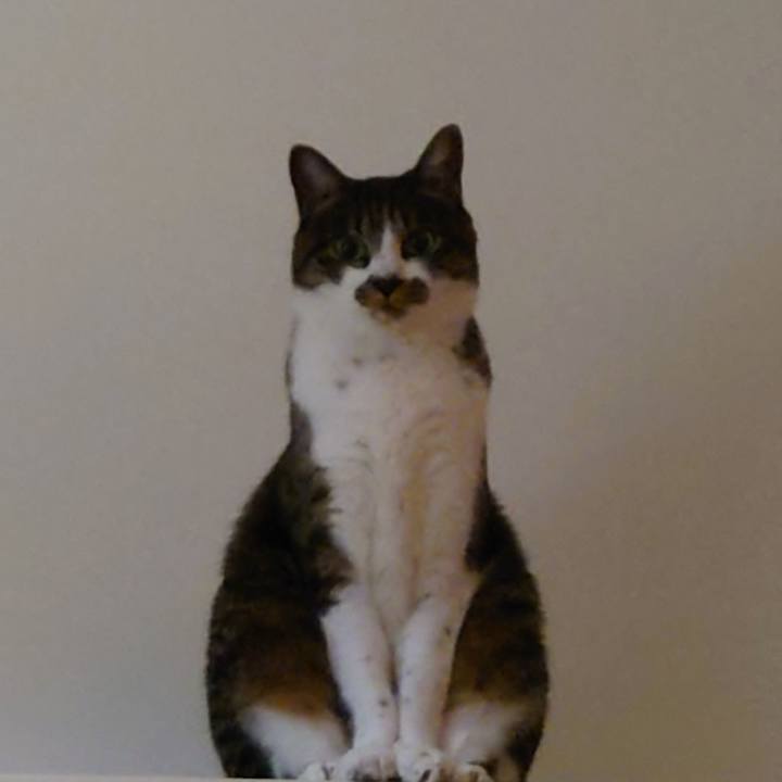 3952293e 2d5a 4e36 8af2 88c47e93a4c4 1762984725812