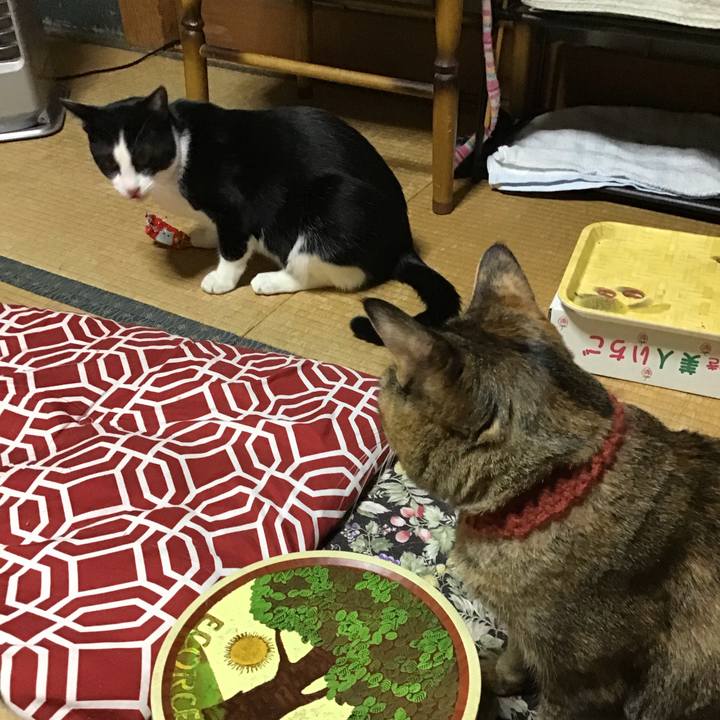 39523d84 2997 47e1 8e40 aef9804f3586 1640076895309