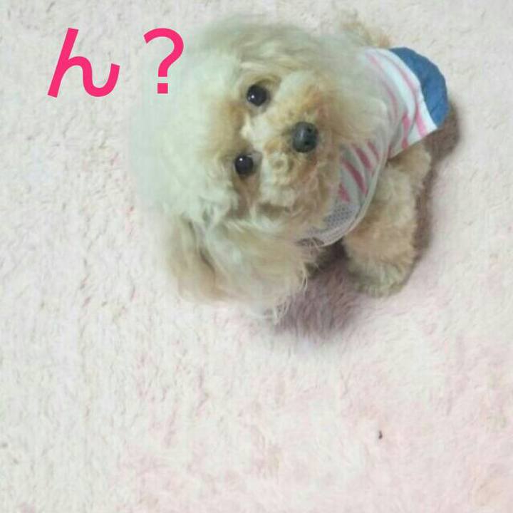 39524ddc da44 4b92 9d22 244784334a50 1562418177966