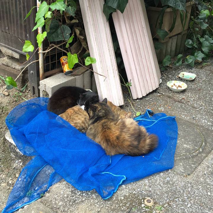 395252d5 c457 484a 8a34 604333c2cd61 1607479622222