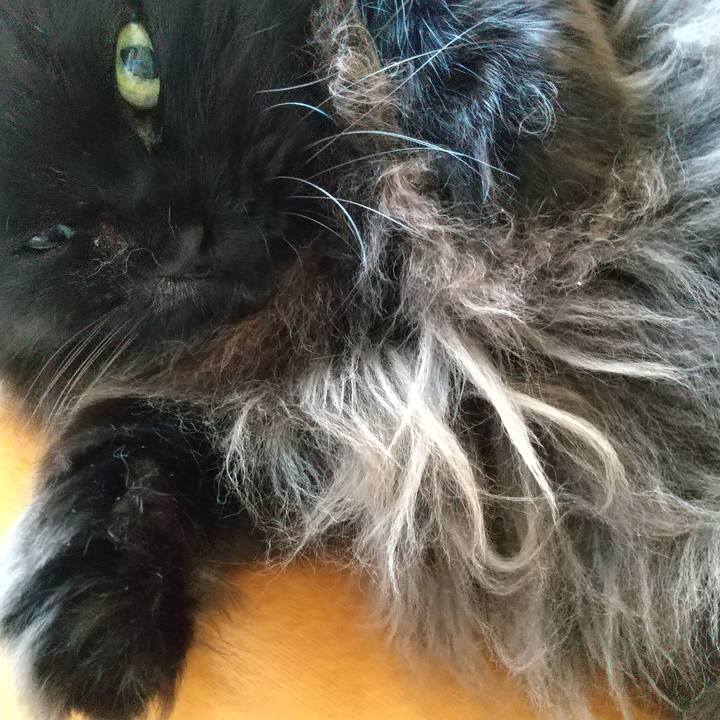 39525e44 54d1 4338 a291 df43f4817335 1622244725192