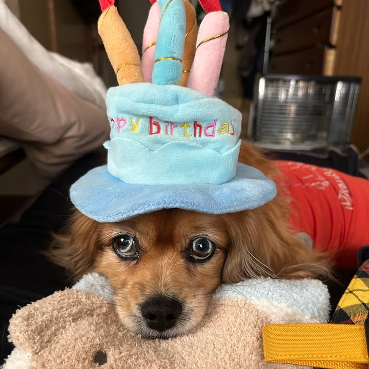 39527c85 a326 4e99 b9d6 a85c13a7ee1b 1740898801655