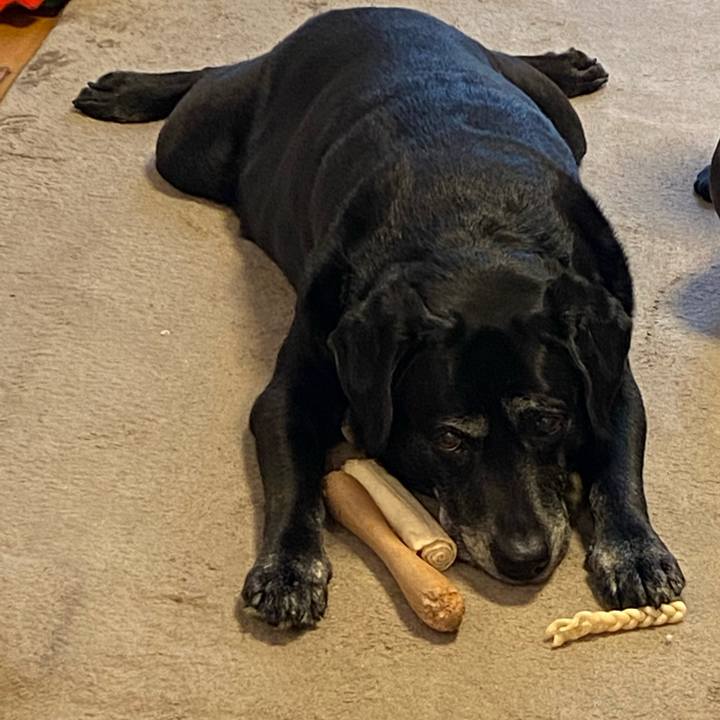 395280ad 779e 404f 9c2c 521b178055b1 1645230647822