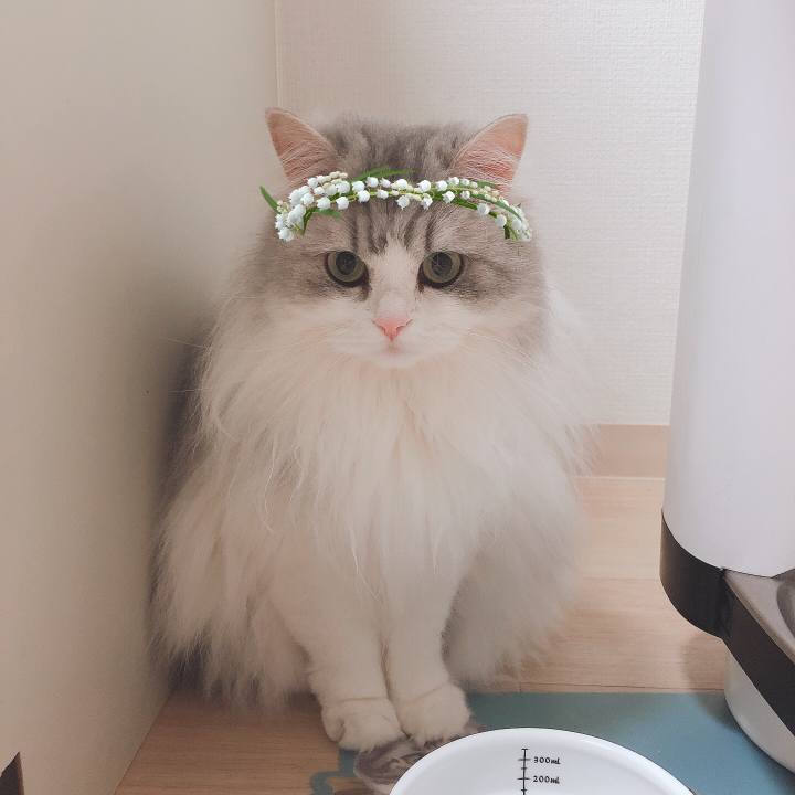 39528278 7683 40ac b25d 14203b89e182 1566707234838